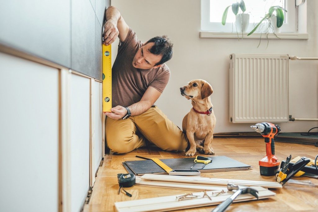 Man renovating his walls with his dog beside him