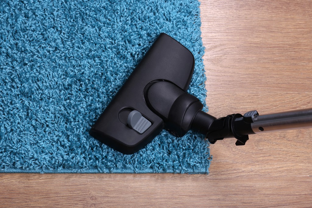 Understanding the Importance of Vacuum Cleaning Your Home Powell