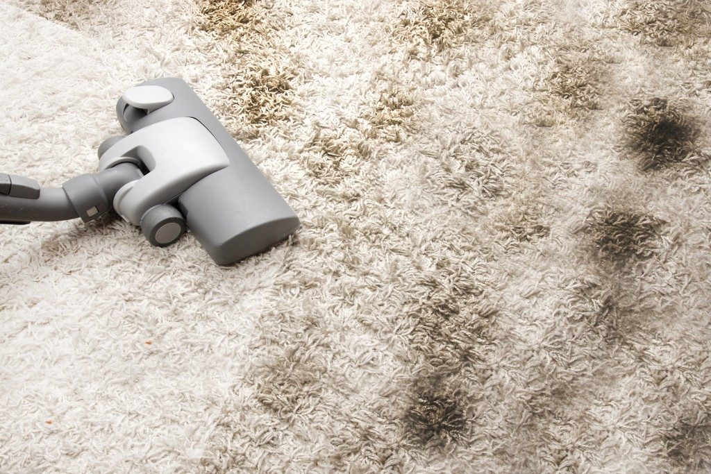 Vacuuming very dirty carpet in house