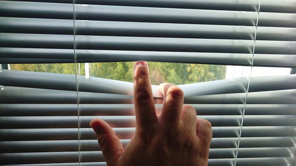 peeking through window blinds