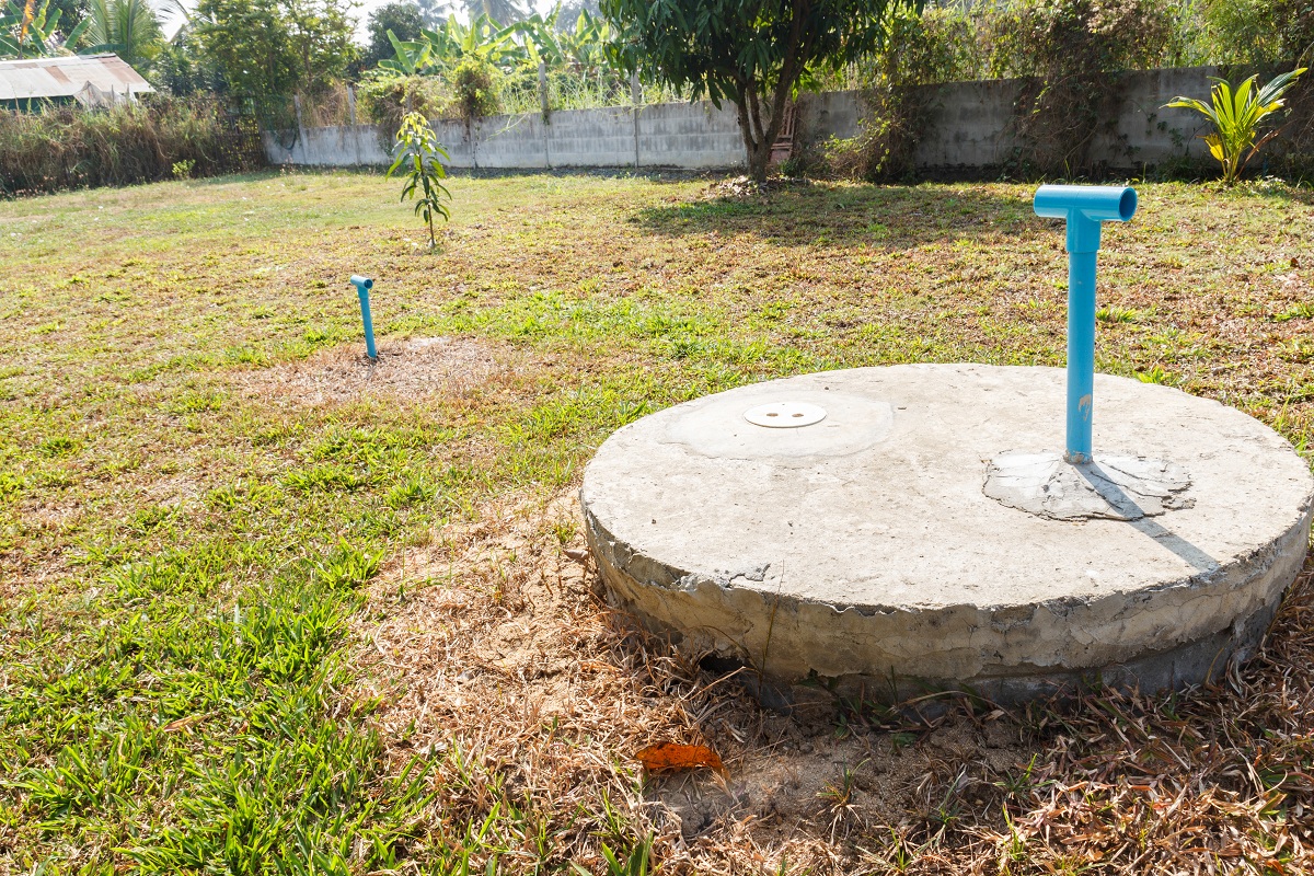 Top Ways to Improve the Draining Capacity of Your Yard Soil Powell Renovations